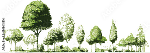 Photos A line of various green trees and bushes drawn with a sketchy green ink style