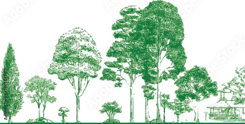 Diverse green trees and a traditional house rendered in a style on a white background nature foliage