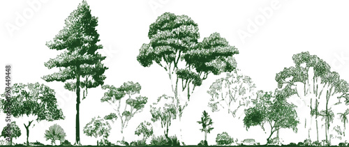 Diverse collection of green trees and foliage in a sketched style with a white background forest nature