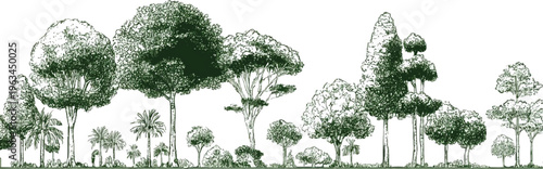 Detailed line of diverse trees and foliage in varying sizes and shapes forest nature green