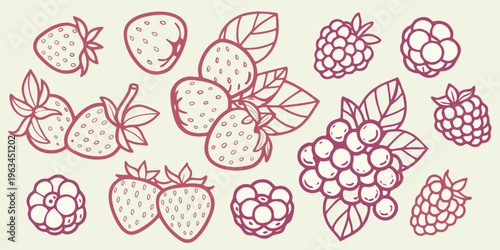 Variety of hand drawn berries including strawberries and raspberries displayed