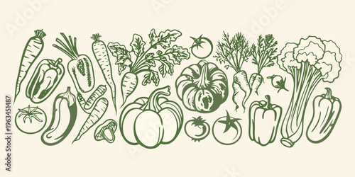 A botanical illustration displaying a variety of fresh garden vegetables