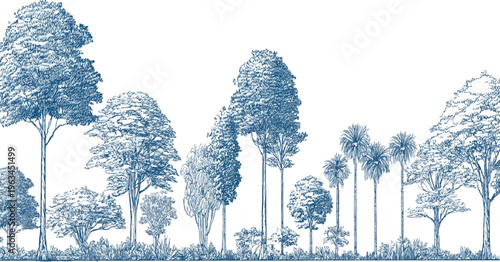 A diverse collection of trees and foliage rendered in a blue ink style against a white background forest