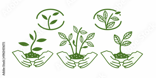 Green plant sprouts and seedlings held in cupped hands vector illustration