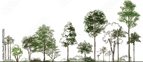 Diverse collection of hand-drawn trees with varying heights and foliage in green and brown tones forest