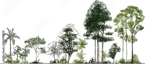 Diverse collection of hand-drawn trees and foliage in varying shades of green and brown against a white background