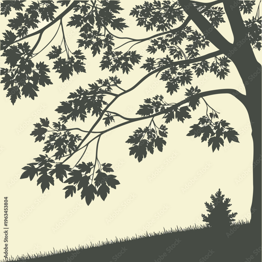Fototapeta premium A tree with branches and leaves on a hill
