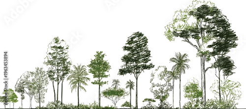 Diverse forest canopy with varying tree species and foliage rendered in a sketchy artistic style with green and grey tones