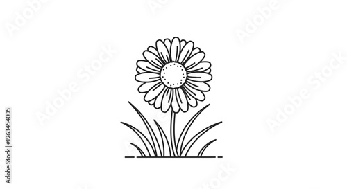 Minimalist Daisy Flower Blooming in Garden Grass Illustration Vector Line Art Design Element