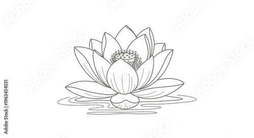Elegant Lotus Flower Blooming on Water Line Art Vector Illustration Design Element