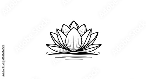 Minimalist Black and White Lotus Flower Blooming on Water Vector Illustration Design