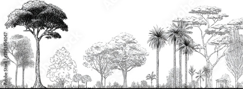 Detailed black and white of diverse tropical forest trees and foliage with a small gazebo structure monochrome