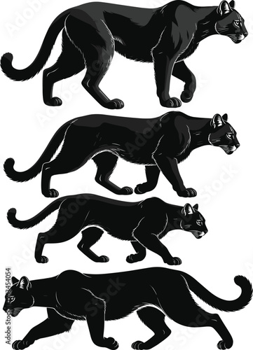 Set of black panther silhouettes featuring large wild cats in various walking and stalking poses isolated on white background for wildlife and predator design.