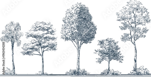 Five diverse trees sketched in blue ink on a white background with detailed foliage and trunks nature