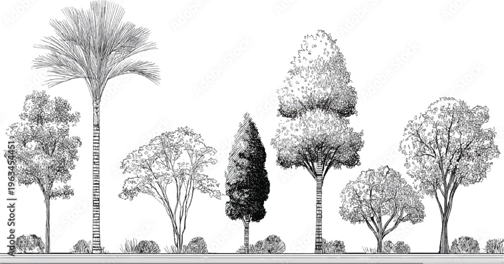 Fototapeta premium Black and white line of diverse trees and bushes in a row palm foliage branches