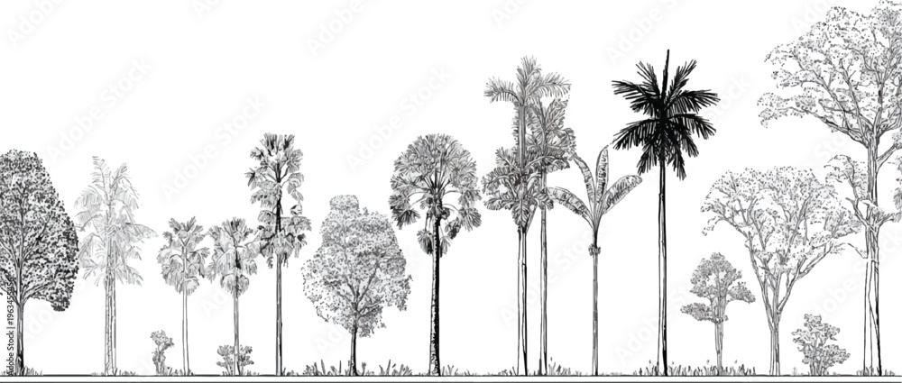 Fototapeta premium Diverse collection of black and white hand-drawn trees and foliage against a white background plant plants