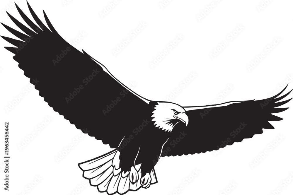 Fototapeta premium Why Eagles Represent Freedom, Strength and Leadership