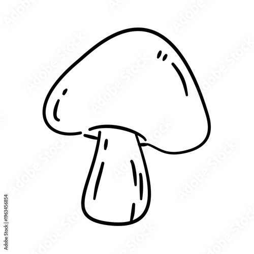vector illustration of a white mushroom