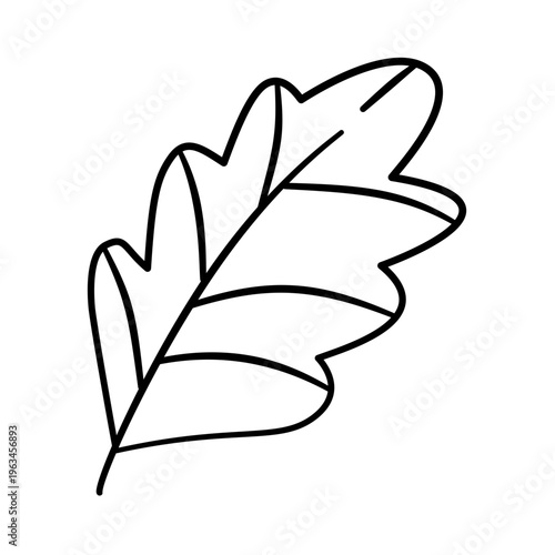 vector drawing of leaf