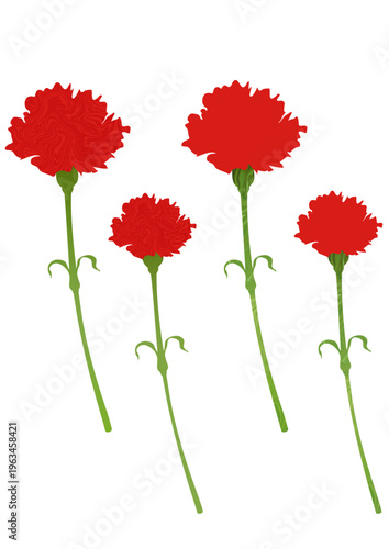  赤いカーネーションのフラットなベクターイラスト　茎の太さ(太め・細め)　花の大きさ(大・小)２種類のサイズ
