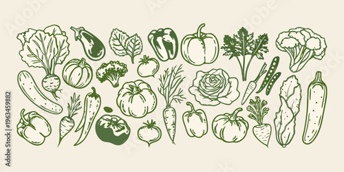 A vibrant collection of hand drawn vegetables arranged on a neutral background