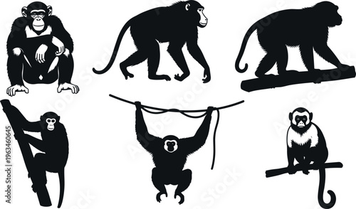 Monkey silhouettes collection with climbing sitting walking and swinging primate wildlife jungle black vector illustration set