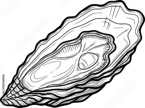 Detailed black and white line of an open oyster shell a white background seafood