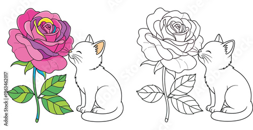 Cute white kitten smelling a rose flower. Colorful vector illustration and black and white line art coloring page.