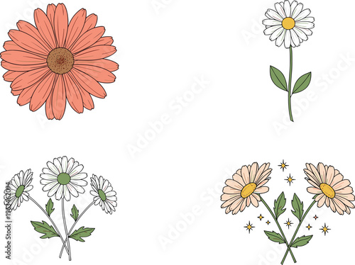 Simple Daisy Flower Collection with Orange and White Blooms, Featuring Floral Arrangements and Star Accents, Ideal for Spring, Garden, and Nature Designs