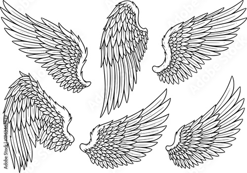 Collection of detailed black and white angel wing a white background wings feather