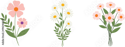 Simple Floral Collection with Pink and White Daisies, Perfect for Spring, Nature, and Garden Illustrations