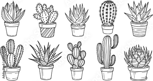 Collection of hand drawn potted cacti and succulents in black and white line cactus