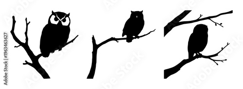 Owls set with detailed silhouette of a perched owl on a rugged tree branch featuring owls, silhouettes, nature with birds and woodland scenery