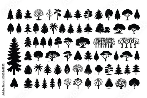 Diverse Tree Silhouettes Collection: Various Species and Shapes for Design Elements