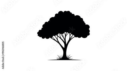 Black silhouette of a leafy tree vector