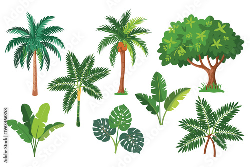 Tropical Plants and Palm Trees Collection Various Foliage Isolated Vector Graphics Flat Design Style