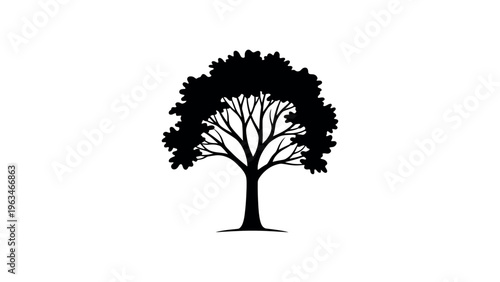 Black silhouette of a leafy tree silhouette