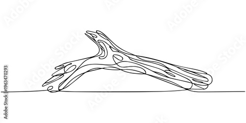 Hand drawn vector sketch illustration of a vintage style bird and fish with floral nature pattern design in black ink silhouette