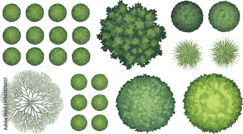 Landscape architecture symbols for site planning, top view garden trees and green shrubs vector set, aerial perspective vegetation icons for park design and master plan isolated PNG with