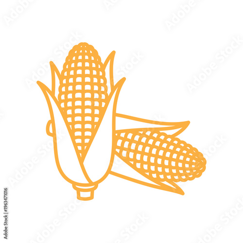 Yellow corn on the cob with husks illustration isolated on a white background for food design Vector
