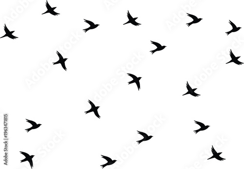 Tablou pe pânză Flying bird silhouettes in scattered formation isolated on white background, sma