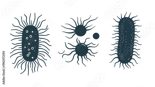 Vector illustration of various microorganisms with stylized shapes and dark teal color on a white backdrop