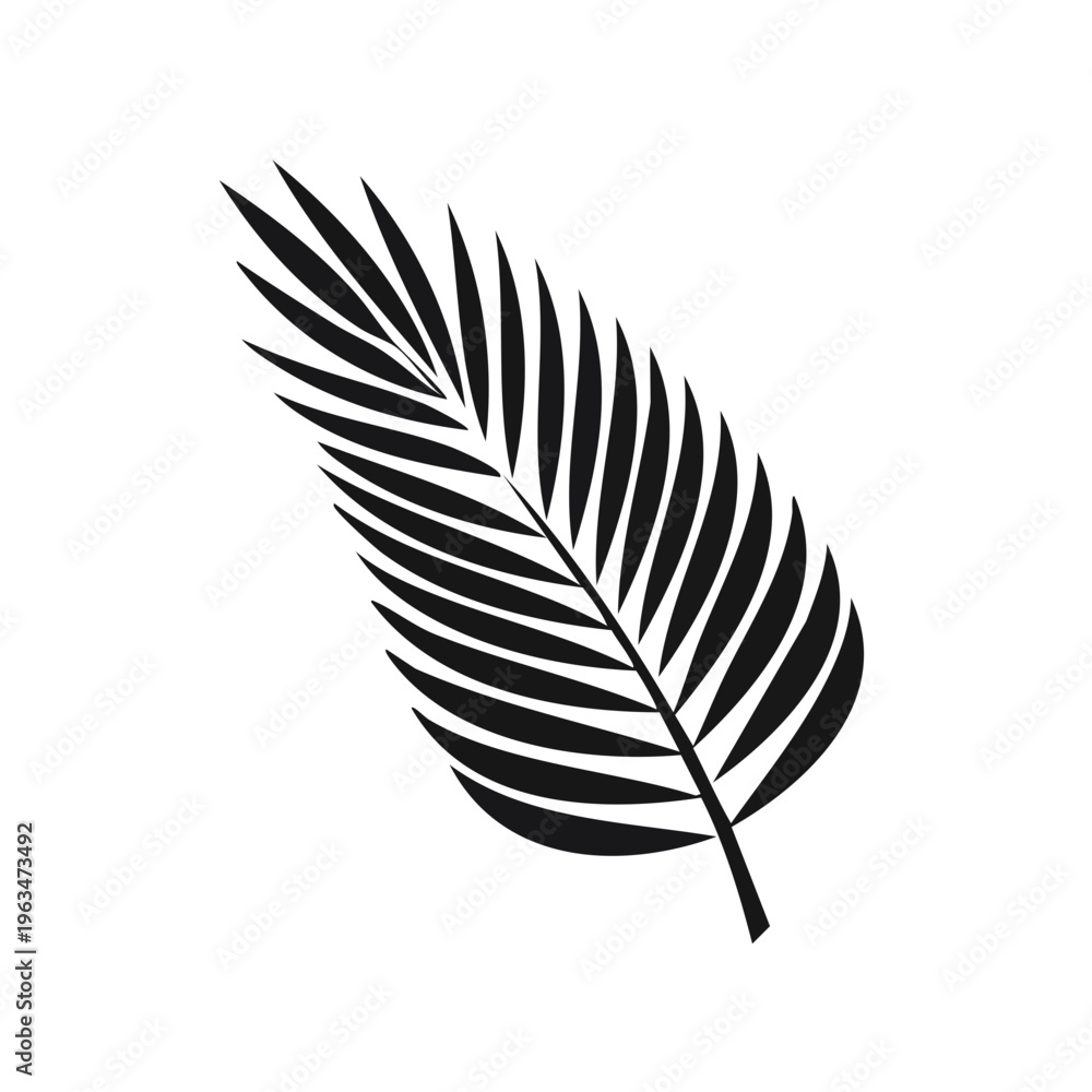 Fototapeta premium Stylized black palm frond silhouette isolated on white background graphic element
