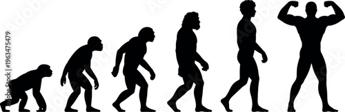 Human evolution silhouettes from ape to modern muscular man, progression concept, biology anthropology vector illustration isolated on light background