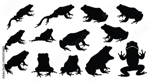 Collection of diverse frog shapes in black silhouettes