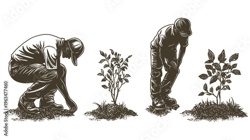 A sketch depicts a person planting a small tree, showcasing different stages of the process