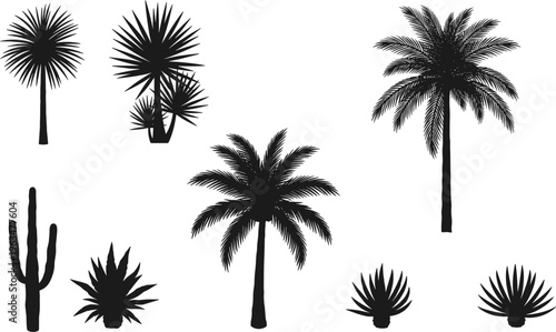 Tropical plant silhouettes set with palm trees, cactus and agave isolated on white background, black vector illustration collection for nature, desert, and landscape design
