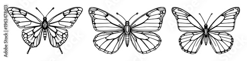 Butterfly set with symmetrical line art featuring cybernetic wings, mechanical detail, tech-nature style with white background and digital illustration