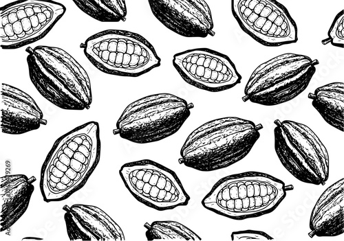 Hand Drawn Cocoa Pods Pattern Black and White Isolated White Background cacao fruit