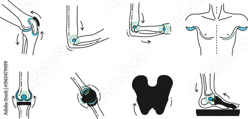Joint movement anatomy icons set with knee elbow shoulder hip motion rotation flexibility and human body biomechanics illustration